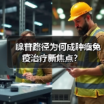 腺苷路径为何成肿瘤免疫治疗新焦点?(图3) 腺苷路径为何成肿瘤免疫治疗新焦点?(图3)