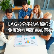 LAG-3分子结构解析：免疫治疗新靶点如何突破？（图4）