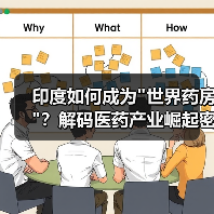 印度如何成为 印度如何成为