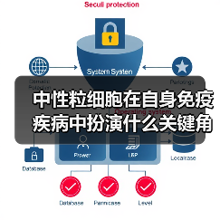 中性粒细胞在自身免疫疾病中扮演什么关键角色?(图3) 中性粒细胞在自身免疫疾病中扮演什么关键角色?(图3)