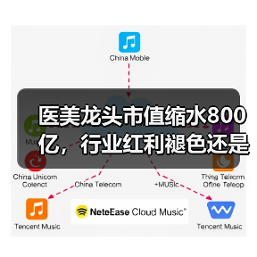 医美龙头市值缩水800亿，行业红利褪色还是持续？（图3）