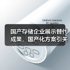 国产存储企业展示替代成果，国产化方案引关注（图2）