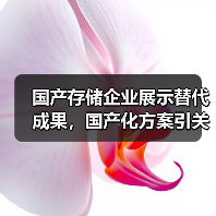 国产存储企业展示替代成果，国产化方案引关注（图1）