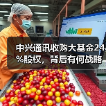 中兴通讯收购大基金24%股权，背后有何战略布局？（图4）