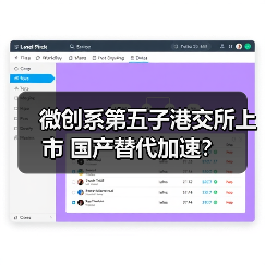 微创系第五子港交所上市 国产替代加速？（图2）