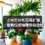 小米芯片布局再扩围，最新投资暗藏哪些战略意图？（图3）
