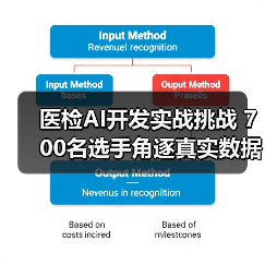 医检AI开发实战挑战 700名选手角逐真实数据应用(图3) 医检AI开发实战挑战 700名选手角逐真实数据应用(图3)