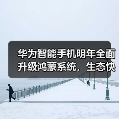 华为智能手机明年全面升级鸿蒙系统,生态快速发展?(图3) 华为智能手机明年全面升级鸿蒙系统,生态快速发展?(图3)