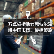 万卓睿桥助力思特尔深耕中国市场,传播策略如何突破?(图1) 万卓睿桥助力思特尔深耕中国市场,传播策略如何突破?(图1)