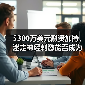 5300万美元融资加持,迷走神经刺激能否成为中风康复新标准?(图3) 5300万美元融资加持,迷走神经刺激能否成为中风康复新标准?(图3)