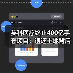 英科医疗终止400亿手套项目：退还土地背后的投资决策（图4）
