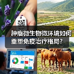 肿瘤微生物微环境如何重塑免疫治疗格局？（图1）