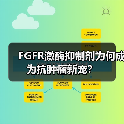 FGFR激酶抑制剂为何成为抗肿瘤新宠？（图1）