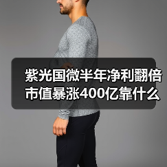 紫光国微半年净利翻倍 市值暴涨400亿靠什么？（图2）