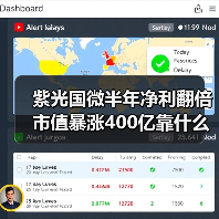 紫光国微半年净利翻倍 市值暴涨400亿靠什么？（图3）