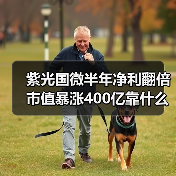 紫光国微半年净利翻倍 市值暴涨400亿靠什么？（图4）