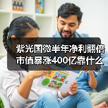 紫光国微半年净利翻倍 市值暴涨400亿靠什么？（图1）