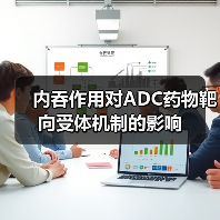 内吞作用对ADC药物靶向受体机制的影响(图1) 内吞作用对ADC药物靶向受体机制的影响(图1)