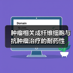 肿瘤相关成纤维细胞与抗肿瘤治疗的耐药性(图4) 肿瘤相关成纤维细胞与抗肿瘤治疗的耐药性(图4)
