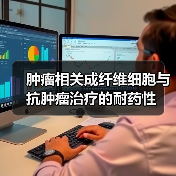 肿瘤相关成纤维细胞与抗肿瘤治疗的耐药性(图2) 肿瘤相关成纤维细胞与抗肿瘤治疗的耐药性(图2)