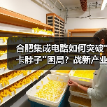 合肥集成电路如何突破