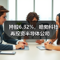 持股6.32%，哈勃科技再投资半导体公司（图3）