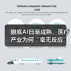 眼底AI日渐成熟,医疗产业为何“毫无反应”?(图1) 眼底AI日渐成熟,医疗产业为何“毫无反应”?(图1)