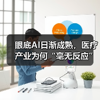 眼底AI日渐成熟,医疗产业为何“毫无反应”?(图3) 眼底AI日渐成熟,医疗产业为何“毫无反应”?(图3)