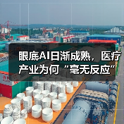 眼底AI日渐成熟,医疗产业为何“毫无反应”?(图2) 眼底AI日渐成熟,医疗产业为何“毫无反应”?(图2)
