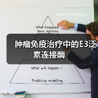 肿瘤免疫治疗中的E3泛素连接酶（图4）