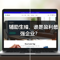 辅助生殖,谁是盈利最强企业?(图2) 辅助生殖,谁是盈利最强企业?(图2)