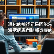 退化的神经元是阿尔茨海默病患者脑部炎症的根源（图2）