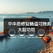 卒中后修复肠道可挽救大脑功能(图4) 卒中后修复肠道可挽救大脑功能(图4)