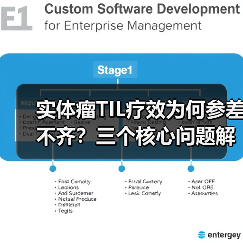实体瘤TIL疗效为何参差不齐?三个核心问题解析(图4) 实体瘤TIL疗效为何参差不齐?三个核心问题解析(图4)