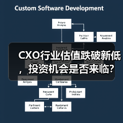 CXO行业估值跌破新低,投资机会是否来临?(图3) CXO行业估值跌破新低,投资机会是否来临?(图3)