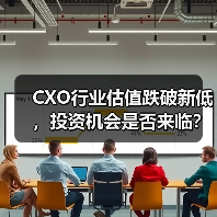 CXO行业估值跌破新低,投资机会是否来临?(图2) CXO行业估值跌破新低,投资机会是否来临?(图2)