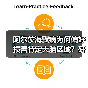 阿尔茨海默病为何偏好损害特定大脑区域?研究揭示基因关联(图3) 阿尔茨海默病为何偏好损害特定大脑区域?研究揭示基因关联(图3)