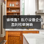 谁领跑？医疗设备企业盈利榜单揭晓（图4）