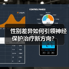 性别差异如何引领神经保护治疗新方向?(图3) 性别差异如何引领神经保护治疗新方向?(图3)