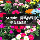 5G切片：网络资源的“供给侧改革”（图2）
