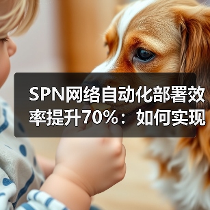 SPN网络自动化部署效率提升70%：如何实现高效建设？（图4）