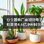 分立器件厂商朝微电子拟募资4.6亿冲刺科创板，技术升级能否扩大产能？（图3）