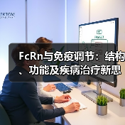 FcRn与免疫调节:结构、功能及疾病治疗新思路(图1) FcRn与免疫调节:结构、功能及疾病治疗新思路(图1)