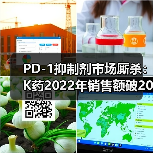 PD-1抑制剂市场厮杀：K药2022年销售额破200亿，信达生物季度收入达10亿（图4）