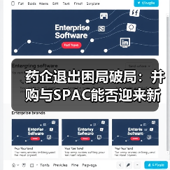 药企退出困局破局:并购与SPAC能否迎来新机遇?(图4) 药企退出困局破局:并购与SPAC能否迎来新机遇?(图4)