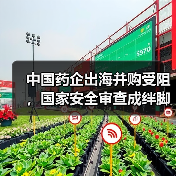 中国药企出海并购受阻，国家安全审查成绊脚石？（图4）