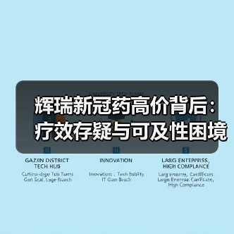辉瑞新冠药高价背后：疗效存疑与可及性困境？（图4）