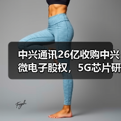 中兴通讯26亿收购中兴微电子股权，5G芯片研发战略升级？（图1）