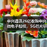 中兴通讯26亿收购中兴微电子股权，5G芯片研发战略升级？（图3）