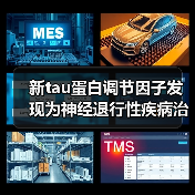 新tau蛋白调节因子发现为神经退行性疾病治疗带来突破（图2）
